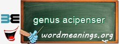 WordMeaning blackboard for genus acipenser